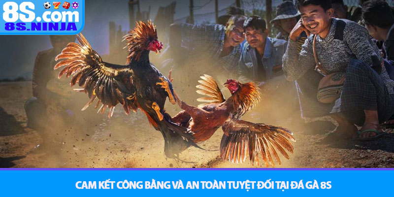 Đá Gà 8S - Trận Chiến Kịch Tính, Trực Tiếp Từng Giây 4 Cam Kết Công Bằng Và An Toàn Tuyệt Đối Tại Đá Gà 8S