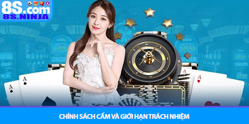 Điều khoản điều kiện 8S - Quyền và trách nhiệm người chơi 3 Chính sách cấm và giới hạn trách nhiệm