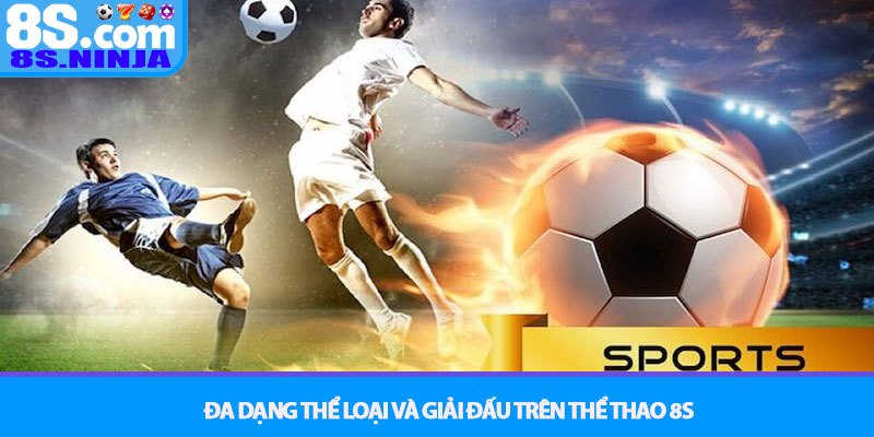Thể Thao 8S - Thiên đường cá cược, dẫn đầu mọi cuộc đua 2 Đa Dạng Thể Loại Và Giải Đấu Trên Thể Thao 8S