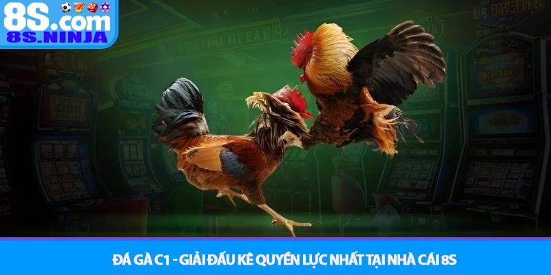 Đá gà C1 - Giải đấu kê quyền lực nhất tại nhà cái 8S 4 Đá gà C1 - Giải đấu kê quyền lực nhất tại nhà cái 8S