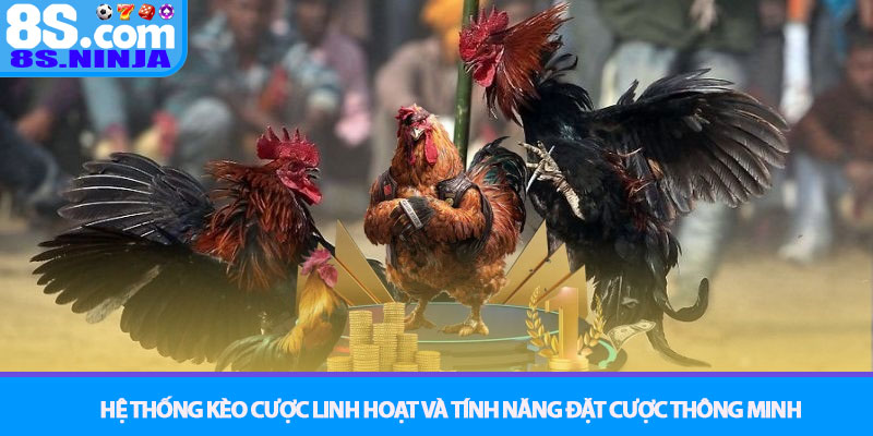 Đá Gà 8S - Trận Chiến Kịch Tính, Trực Tiếp Từng Giây 3 Hệ Thống Kèo Cược Linh Hoạt Và Tính Năng Đặt Cược Thông Minh