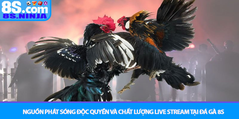 Đá Gà 8S - Trận Chiến Kịch Tính, Trực Tiếp Từng Giây 2 Nguồn Phát Sóng Độc Quyền Và Chất Lượng Live Stream Tại Đá Gà 8S